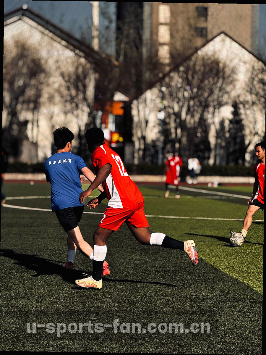 球衣号码与队徽细节特写，浅景深